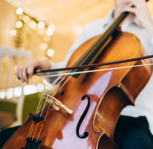 Wedding Reception Music Near the Vegas Strip – DJ or Live Band