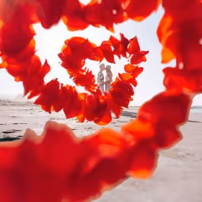 Valentine's Day Wedding