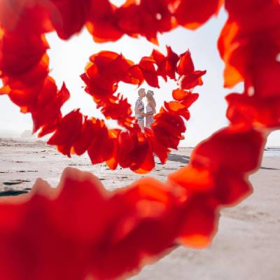 Valentine's Day Wedding