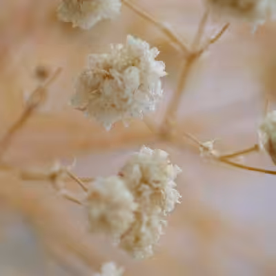 Wedding Color Palettes by Season