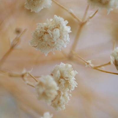 Wedding Color Palettes by Season