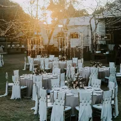 Wedding Reception