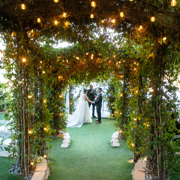 Vegas wedding packages